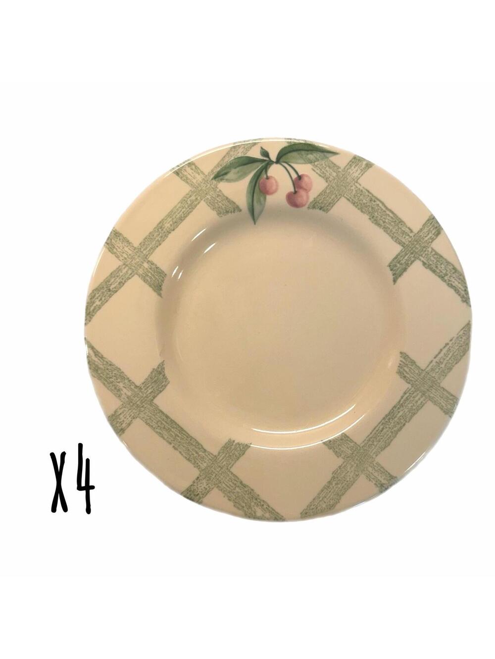 Set of 4 Vintage 1991 Pfaltzgraff Garden Party 8” Salad Plates